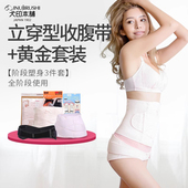 犬印本铺束腰收腹带收胯提臀骨盆带孕妇月子产后分阶段束身三件套