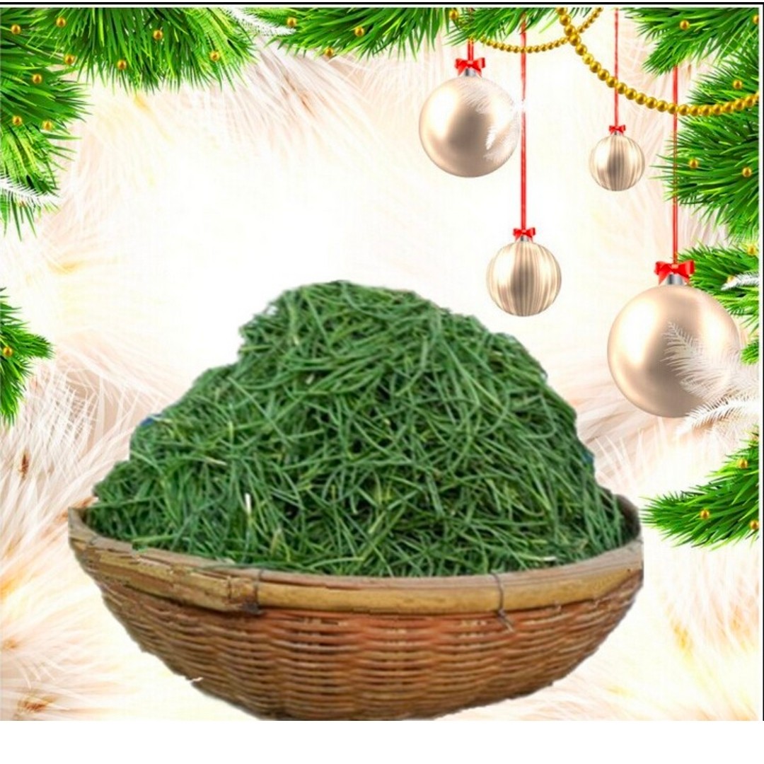 甘肃特产民勤沙葱淹沙葱腌制西北特色四季饭菜新鲜咸菜罐装香脆