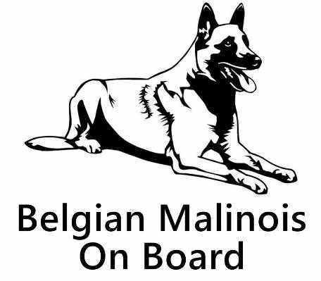 比利时牧羊犬马里诺斯汽车贴纸搞笑汽车贴纸贴花