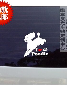 汽纸新款发货贴纸车车 贵宾犬反光 车贴 大众 科鲁兹 POLO车贴