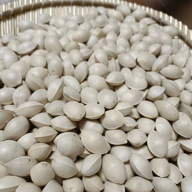 淘然新鲜白果银杏果带壳5斤装包邮