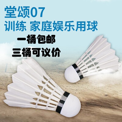 堂颂7号羽毛球室内外娱乐训练球