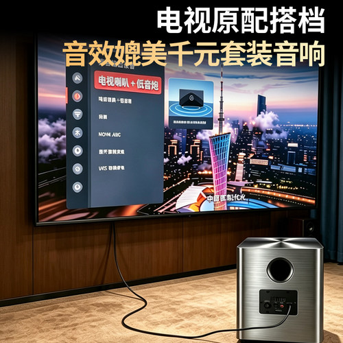 网影电视专用外接低音炮音响