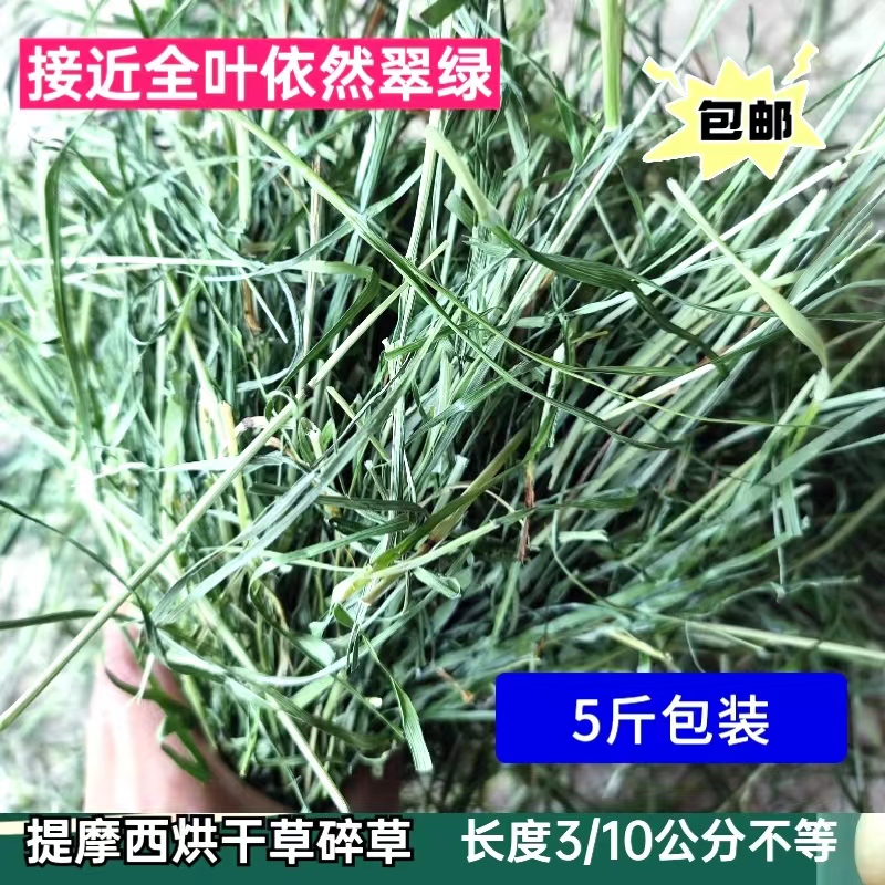 25年【晒干+烘干碎草】提摩西北提头茬兔子粮龙猫粮食原产地包邮