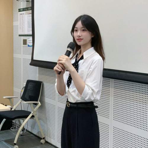 V领衬衫女短袖雪纺职业正装衬衣