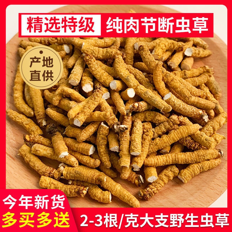 【 特惠2克断虫草】 冬虫夏草官方旗舰店非西藏那曲野生正品干货