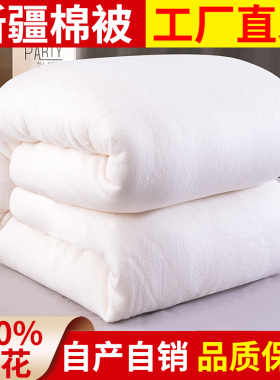 新疆棉被纯棉花被子冬被加厚保暖全棉被芯单人棉絮床垫被褥子棉胎