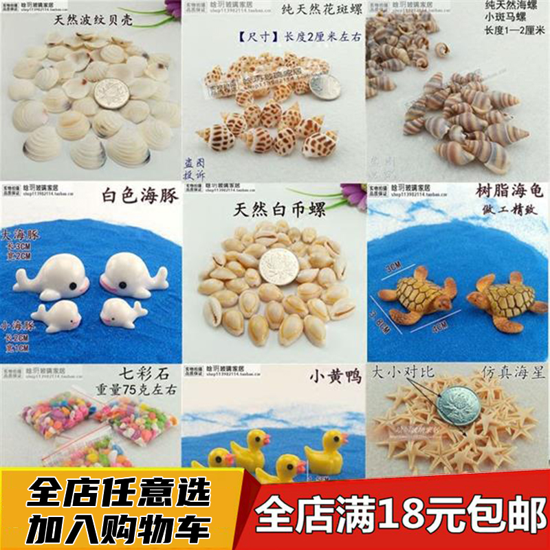 天然贝壳海螺微景观摆件