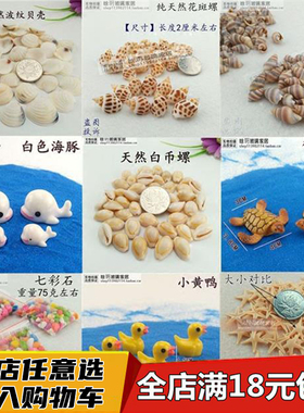 DIY海洋瓶材料天然小海螺贝壳许愿小海星海豚微景观造景装饰摆件