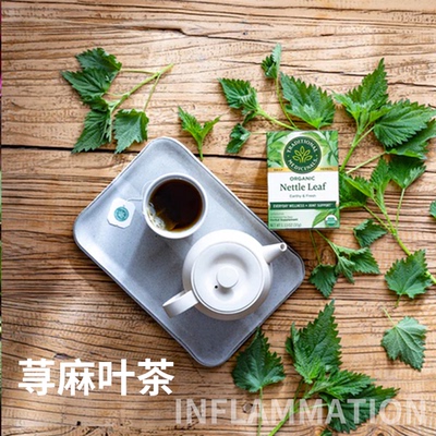 美国Traditional Medicinals精选荨麻叶茶健康草本缓解压力助眠