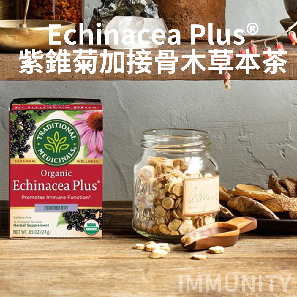 美国Traditional Medicinals紫锥菊接骨木草本茶提升免疫清新口感