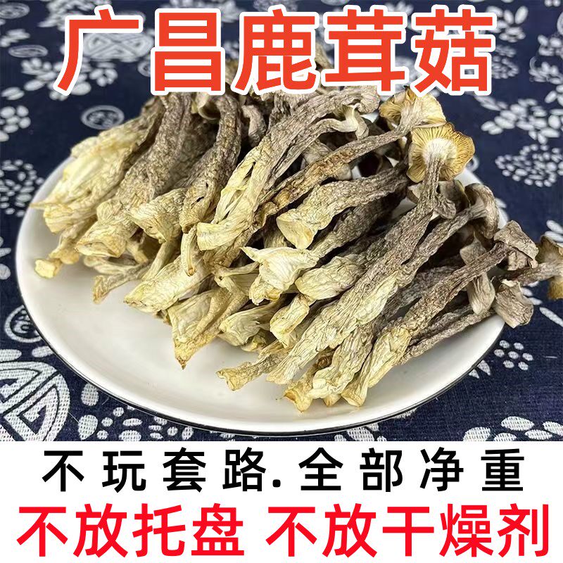 江西广昌特产鹿茸菇农家干货净重新鲜剪脚鹿耳菇鹿茸菌煲汤食510g