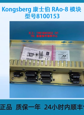 Kongsberg 康士伯 RAo-8 模块 型号8100153