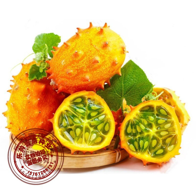 蔬菜非洲蜜瓜四季盆栽火参果