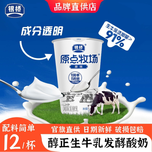 银桥益生菌发酵乳酸奶原味12杯装