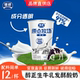 银桥原点牧场益生菌发酵乳酸奶原味风味营养酸牛奶160g 12杯整箱