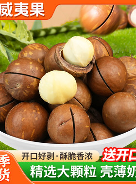 夏威夷果坚果新货大颗粒奶油500g年货干果零食整箱1斤批发旗舰店