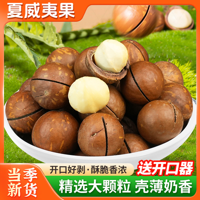 夏威夷果坚果新货大颗粒奶油500g年货干果零食整箱1斤批发旗舰店