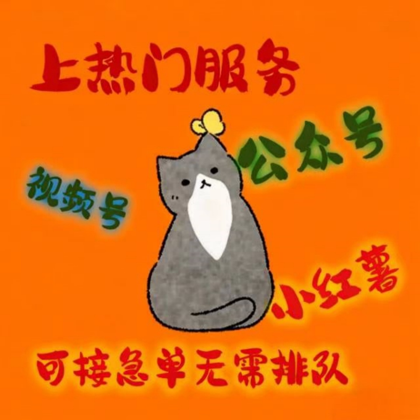 视频阅读号公众订阅号服务小红xhs书薯抖运营咨询服务团队