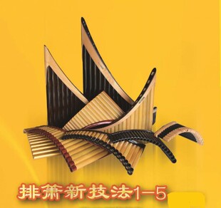 悠悠排箫 排箫自学资料 排箫新技法1-5/从零起步学排箫