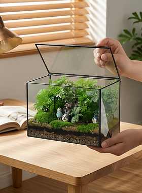简约几何玻璃罩花盒苔藓微景观瓶花房咖啡厅摆件装饰卧室房间摆设