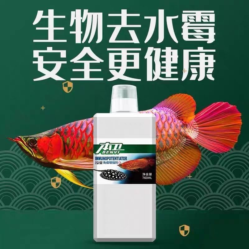 玛豆本卫水霉病鱼缸净水净化水质增加水有益菌抑菌快速清水观赏鱼