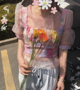 千叶鹿自制 ins粉色欧根纱泡泡袖宽领松紧腰荷叶边衬衣衬衫女