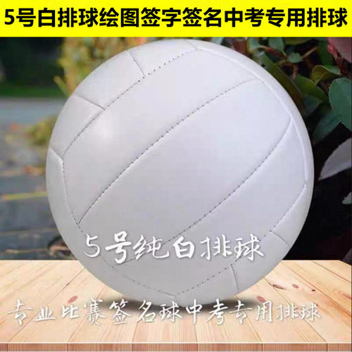 中考专用绘图画画专用白色排球