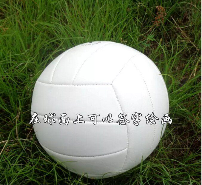 Ballon de volley-ball - Ref 2012822 Image 3