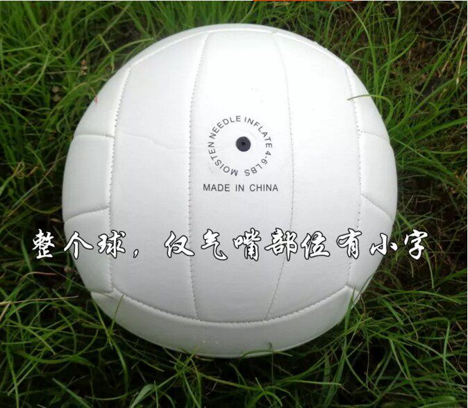 Ballon de volley-ball - Ref 2012822 Image 4