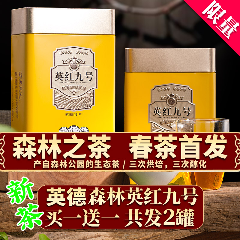 2025森林之茶英红九号英德红茶特级罐装新拾记工夫云雾茶广东特产
