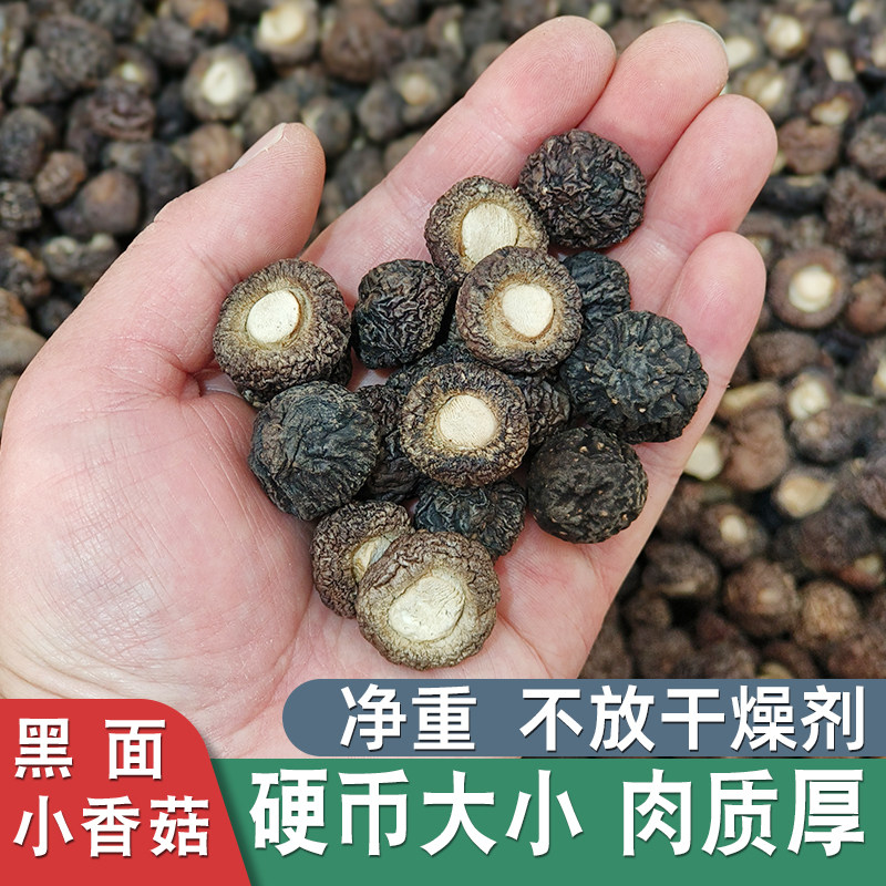 雾山春黑面小香菇金钱菇特小肉厚