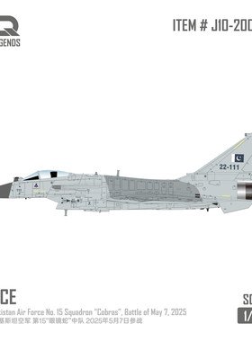 SQ 1/200 歼10CE 巴基斯坦 空优灰涂装 J10-200-002合金成品模型