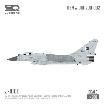 SQ 1/200 歼10CE 巴基斯坦 空优灰涂装 J10-200-002合金成品模型