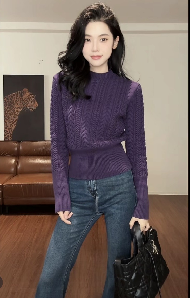 2025秋冬新款韩版时尚百搭显瘦麻花小立领收腰厚款毛针织衫女上衣