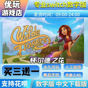 怀尔德之花 switch中文下载版买三送一switch游戏数字版
