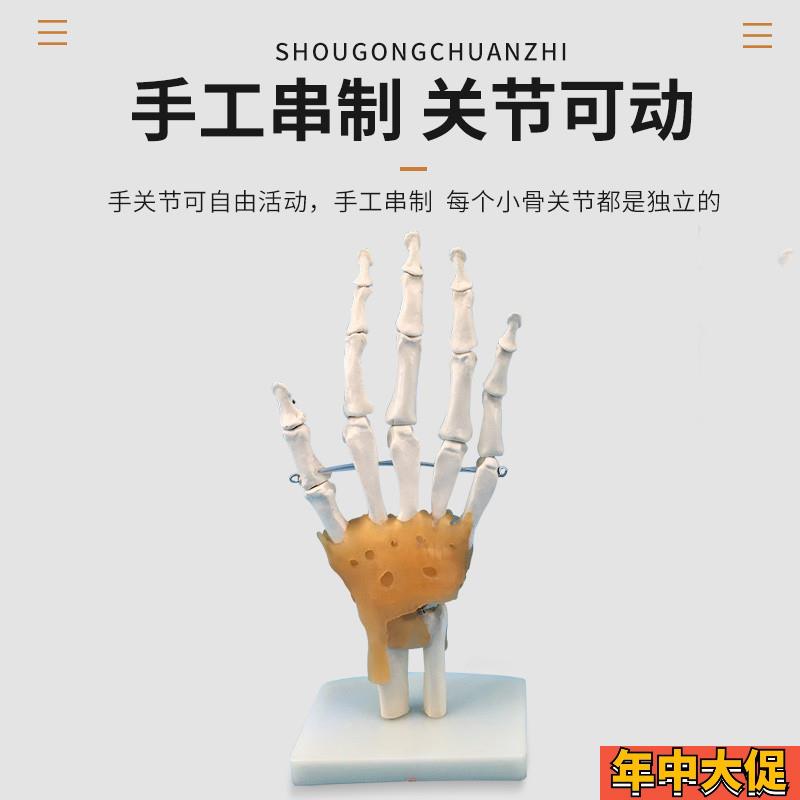 手关节模型人体骨骼模型骨架仿真正骨拼装真人教学可拆卸