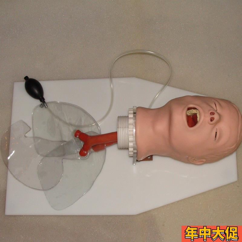 儿童经典气管插管 幼儿经典气管插管 人体模型