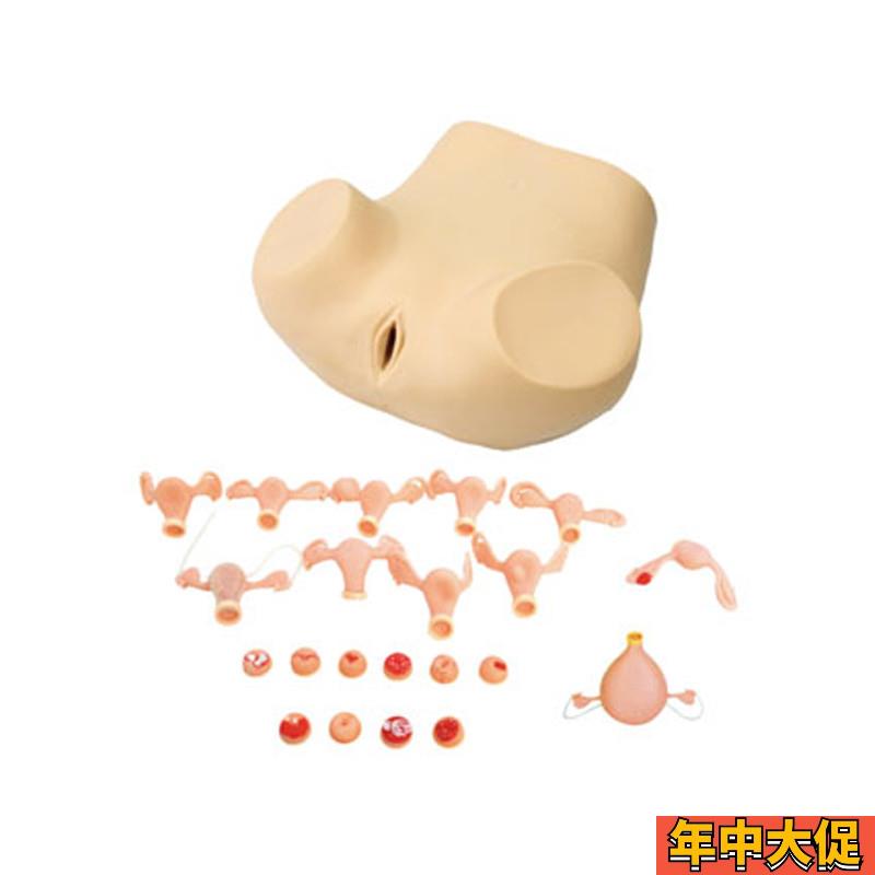 高级妇科综合检查训练模型 腹腔镜检查及妇婴训练模型子宫触诊视