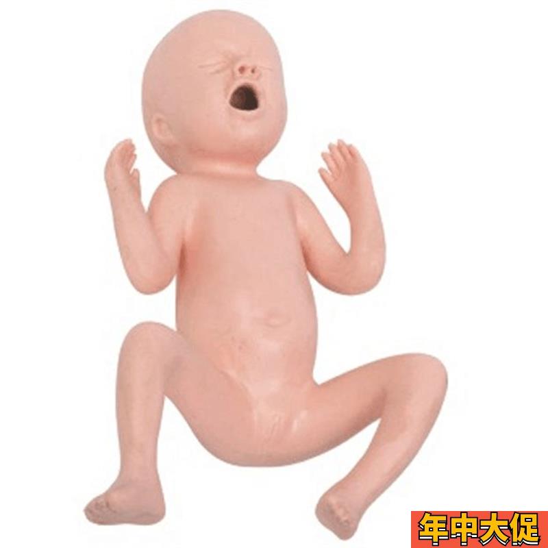 24周早产儿护理模型 初生儿早产儿模型 出生婴儿模型