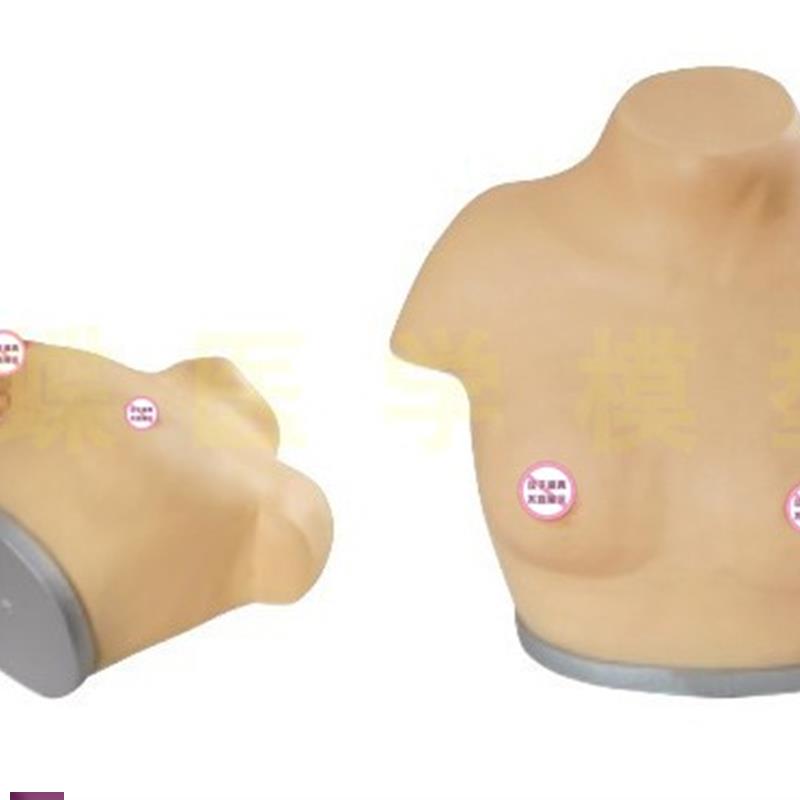 女性乳房乳腺检查模型高s级乳腺视诊与触诊模型医学临床教学模