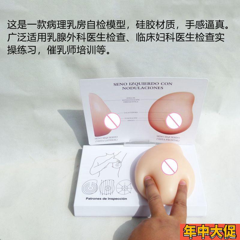 康泰乳房模型妇科生殖乳腺自检触诊练习手感真实体检训练示教医用