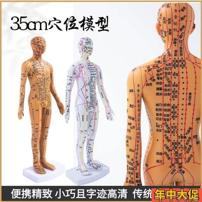 35cm中医人体针灸模型经络穴位中医全身十二铜人模特图练习小皮人