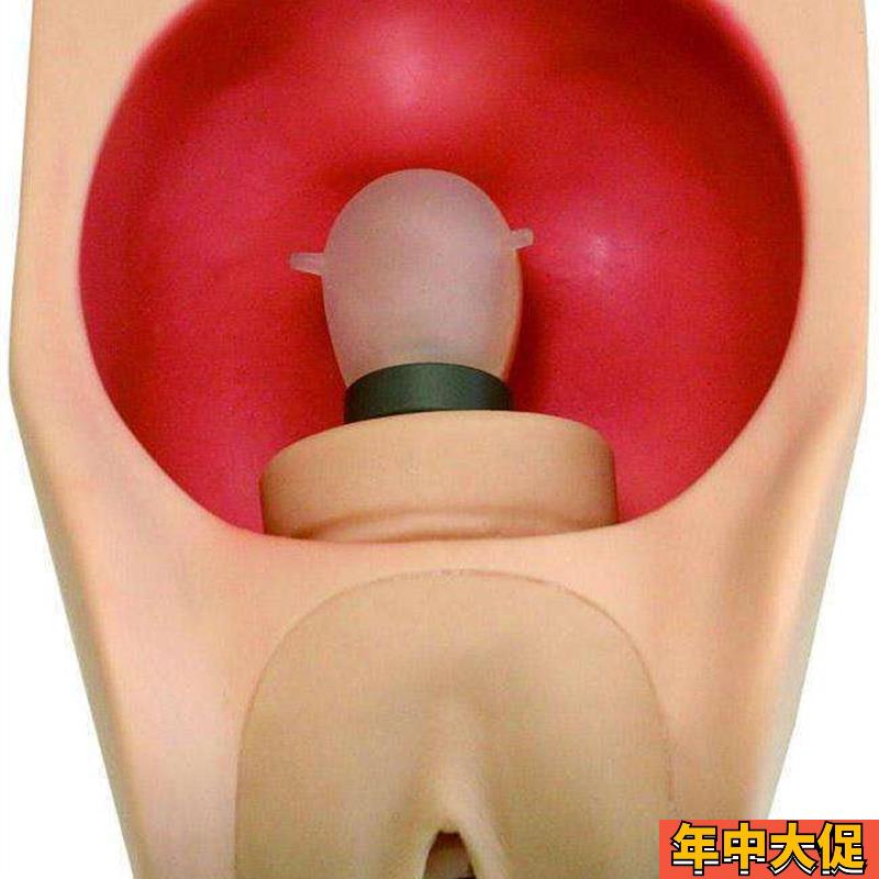 高级妇科女性宫内避孕练习模型