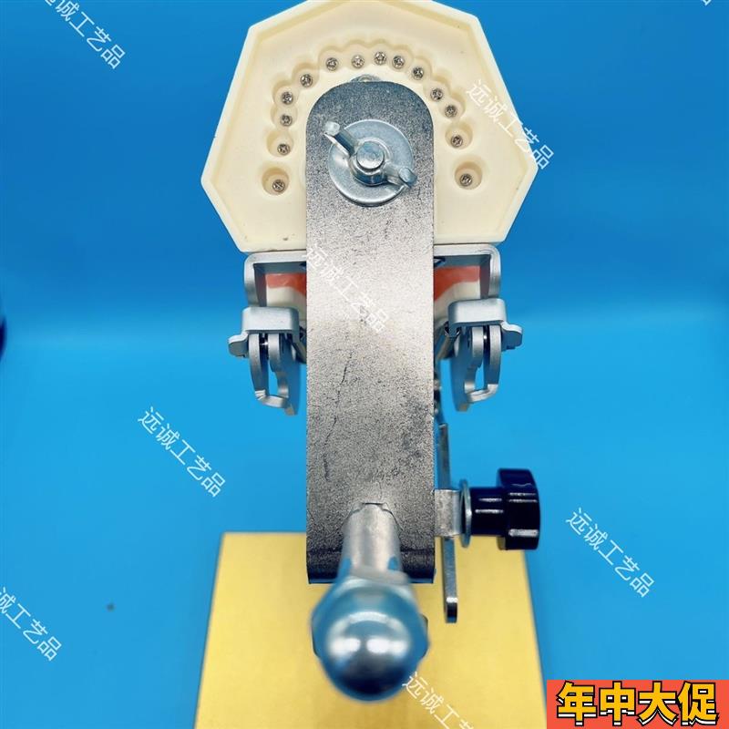 牙科器械口腔备牙支架离体牙备牙模型仿真头模开髓模型练习支架