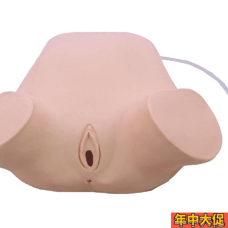 四步触诊肛查阴道检查训练模型 妇科四步触诊法教学骨盆测量
