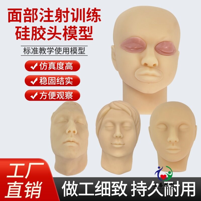 软体硅胶头模 微整形线雕脸部神经C血管 仿真面部美容注射缝合模