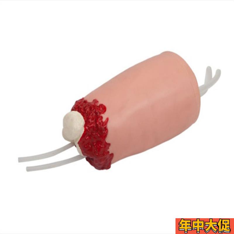 下肢外伤断肢止血模型