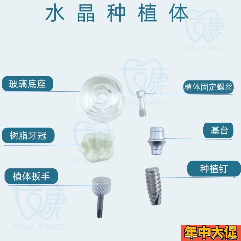 水晶种植体模型透明牙科模型教学医患沟通模型诊室摆件齿科材料