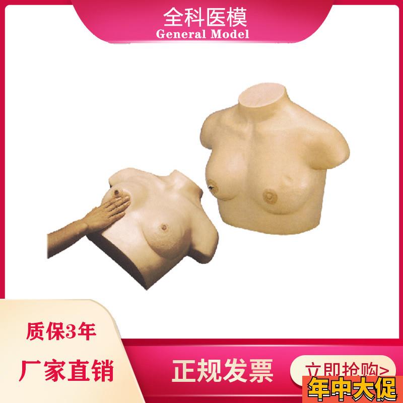 乳腺视诊与触诊模型乳房检查临床教学女性催乳训练诊断模型